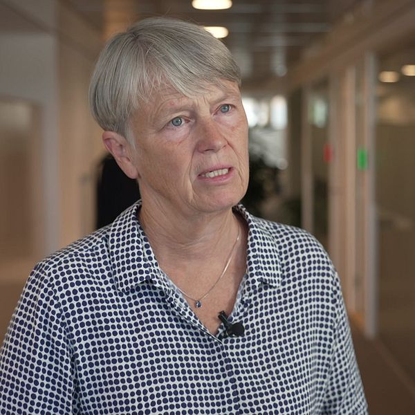 Irene Wennemo i intervju om Teslas arbetskonflikt