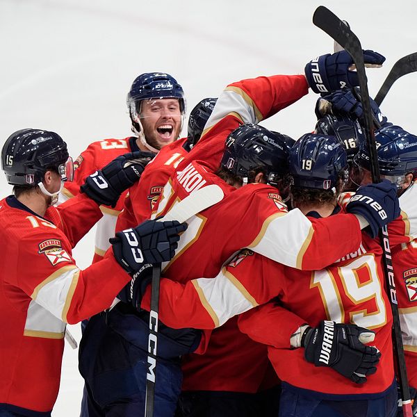 Florida Panthers