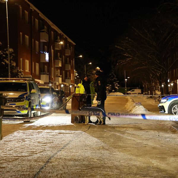 Polisbilar och hundpatruller på plats i bostadsområde