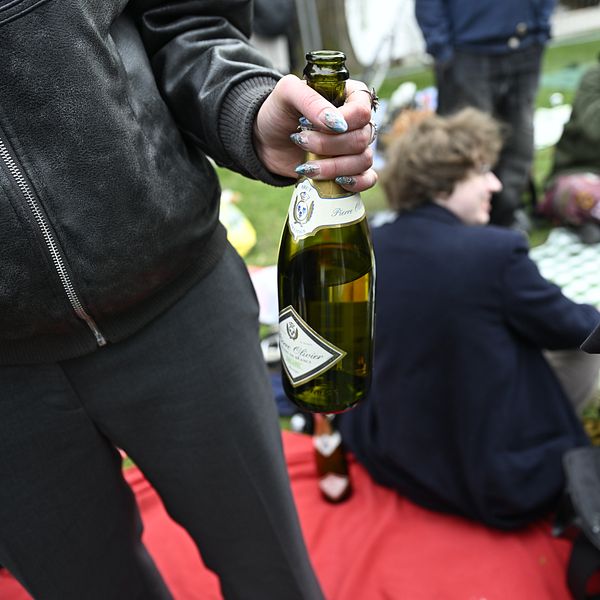 En person håller en vinflaska vid en picknick med sittande personer i bakgrunden.
