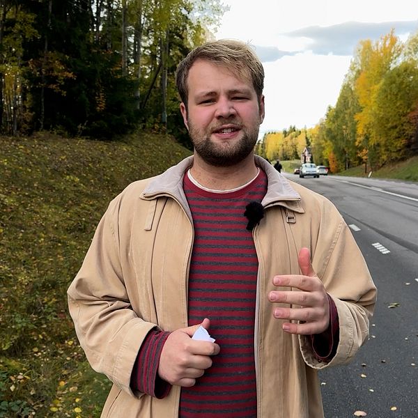 En person står vid vägrenen på en landsväg omgiven av träd med höstfärger. I bakgrunden syns flera fordon på vägen under en molnig himmel. Personen gestikulerar med ena handen, vilket kan indikera en pågående diskussion eller presentation.