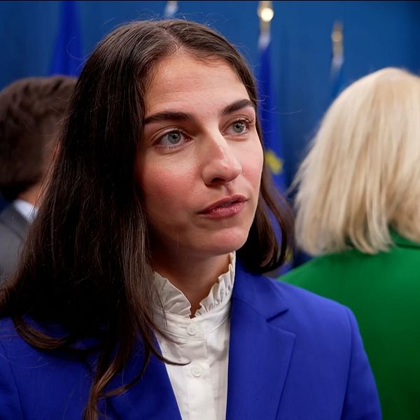 Klimat- och miljöminister Romina Pourmokhtari (L)