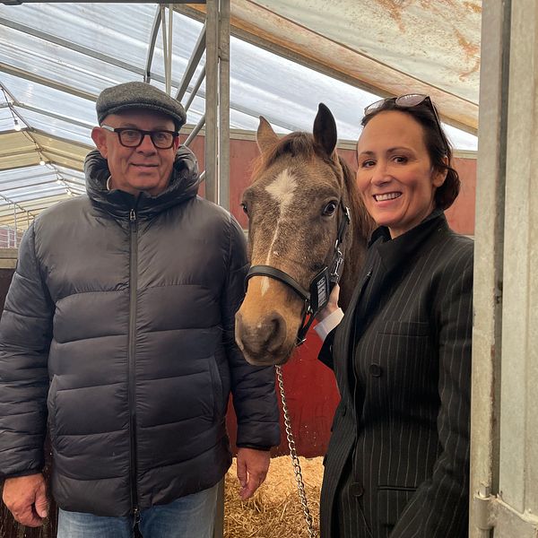 En person i en svart pufferjacka står till vänster om en häst med brunt och vitt huvud, medan en person i en svart kostym står till höger om hästen. De befinner sig i en stallmiljö med synliga stallväggar och tak.