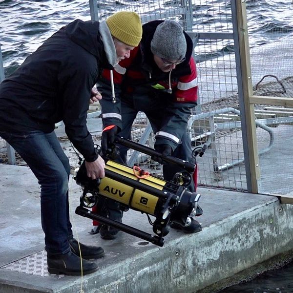 Två personer står vid en brygga och förbereder att sänka ett autonomt undervattensfordon (AUV) i vattnet. Den ena personen håller i AUV:en medan den andra assisterar med nedsläppet. Bakgrunden visar vågigt vatten och en del av bryggan.