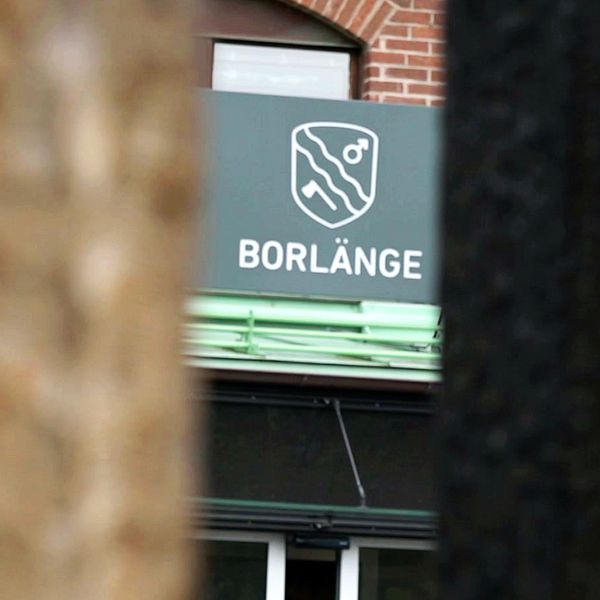 Borlänge kommuns kommunlogga. Kommunen vill nu avskeda padagogen som hängts ut av nätsajten Dumpen och gör flera polisanmälningar.