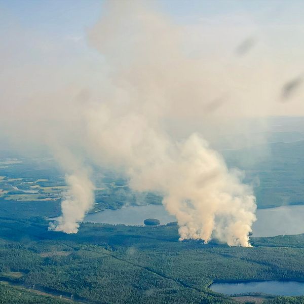 Brandrök stiger ur skogen, sett från flygplan.