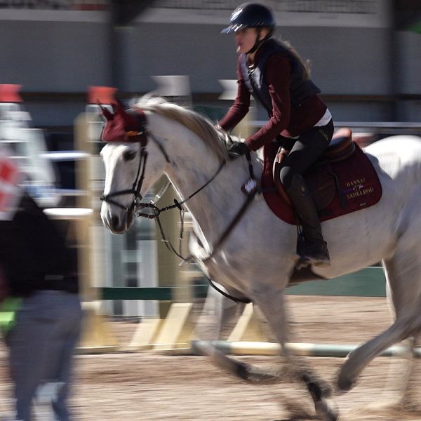 En kvinna rider på en vit häst mellan hinder på en hoppbana.