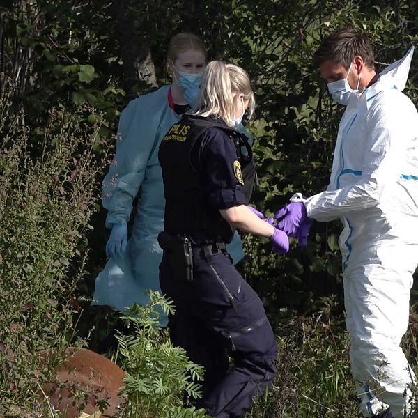 Polis, veterinär och tekniker vid den döda hästen.