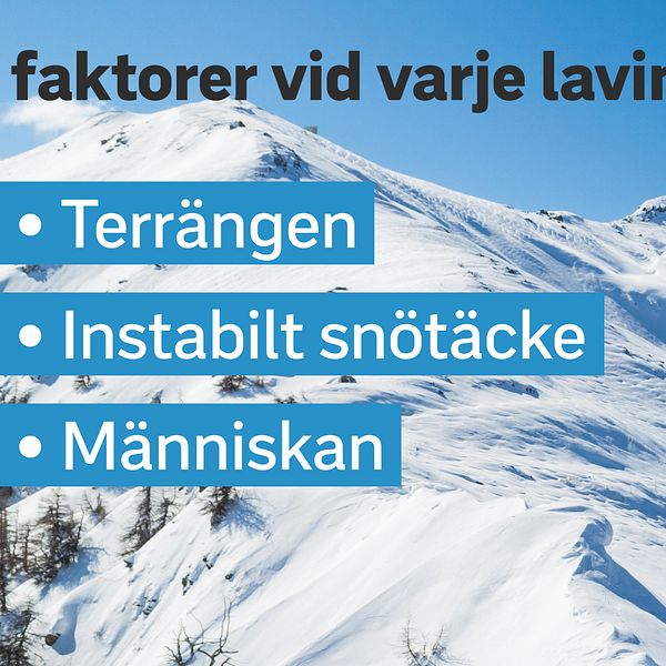 Faktorer vid lavinolycka