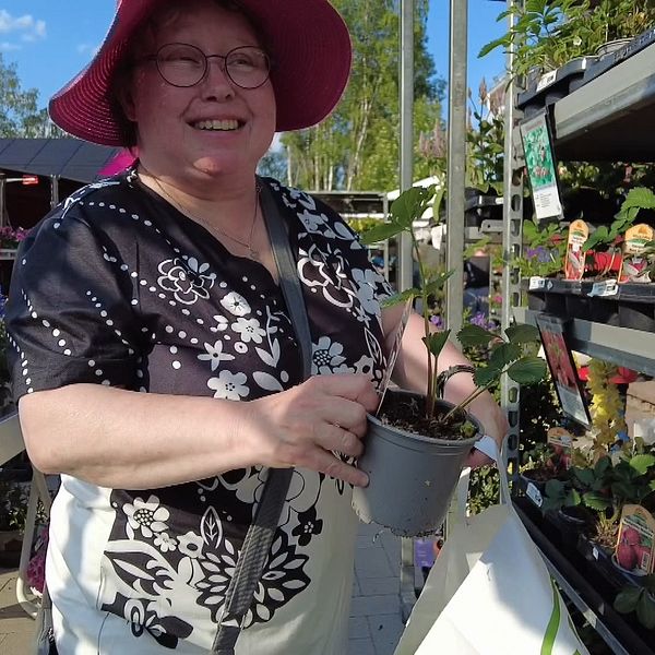 en kvinna i rosa hatt som ska köpa blommor på en blomsterhandel