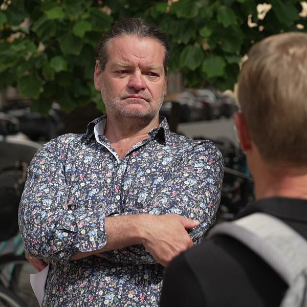 Experten och SVT:s reporter