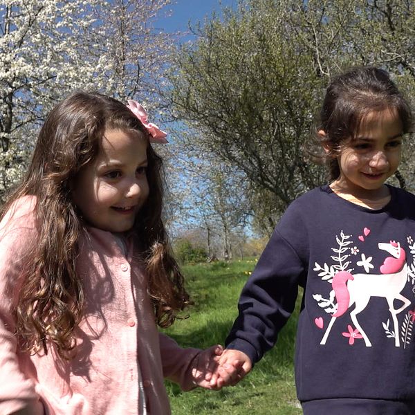 Två små flickor, en i rosa tröja och en i blå