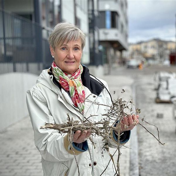 Margareta Eiserman miljö- och hälsoskyddschef på Hudiksvalls kommun håller i trädgårdsavfall