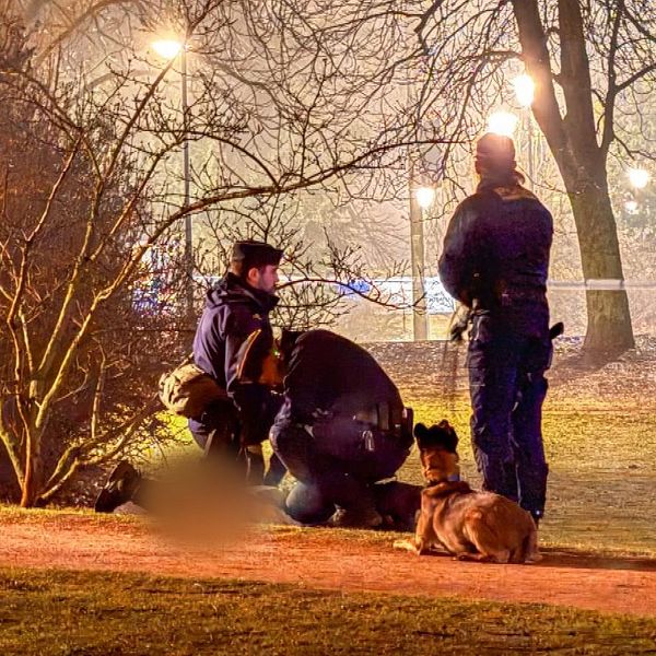 Två poliser griper en minderårig pojke vid Davidshall i Malmö.