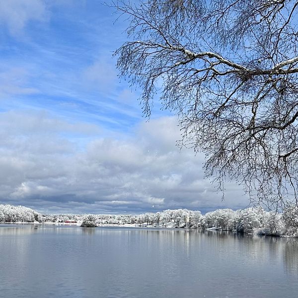 Strömsnäsbruk, Småland den 14/3.