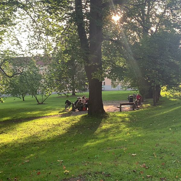 Parken vid Sundsvalls kommunhus där en alkoholzon inrättats.