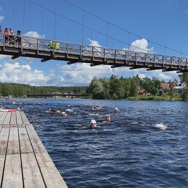 folk som simmar i öppet vatten under bro och med brygga till vänster