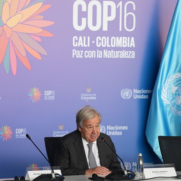 FN:s generalsekreterare Antonio Guterres under en presskonferens på COP16.