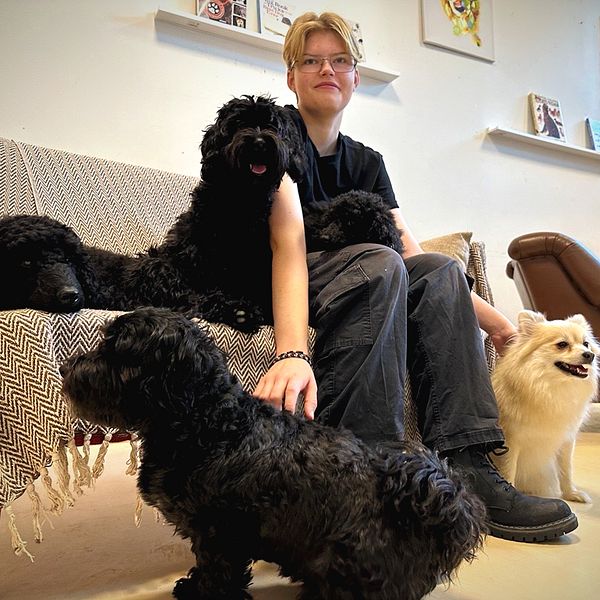 Simon sitter på en soffa omgiven av flera hundar, inklusive en svart hund som ligger över personens knä, en annan svart hund nära fötterna och en vit pomeranian i förgrunden.