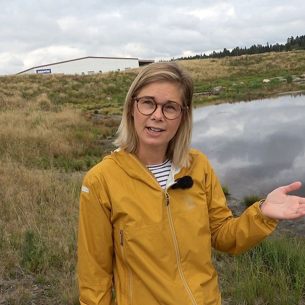 Sara Jansson, dagvattensamordnare, står framför en damm. Runt dammen växer gräs i grönt och gult. Sara är i 30-års åldern och har blont axellångt hår, runda glasögon och en gul regnjacka. Hon håller upp ena handen och pekar mot vattnet.