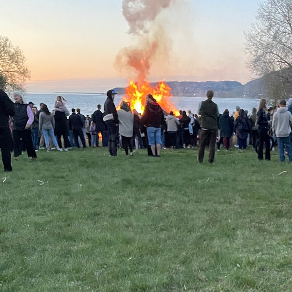 Folksamling på gräsfält vid sjö, folk ser på en stor valborgsbrasa i solnedgången.