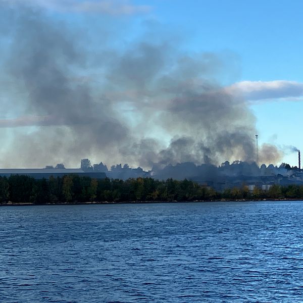 Utsikt över himlen i Kalix där svart rök stiger från en industriell anläggning i bakgrunden, med en lugn sjö i förgrunden och gröna träd längs strandlinjen.
