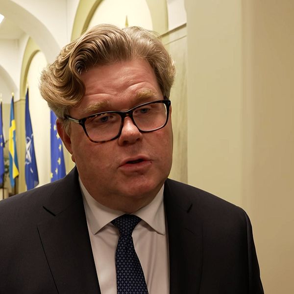 En person står i en hall med flera flaggor i bakgrunden. Personen är klädd i en kostym och ser ut att vara i en officiell miljö.