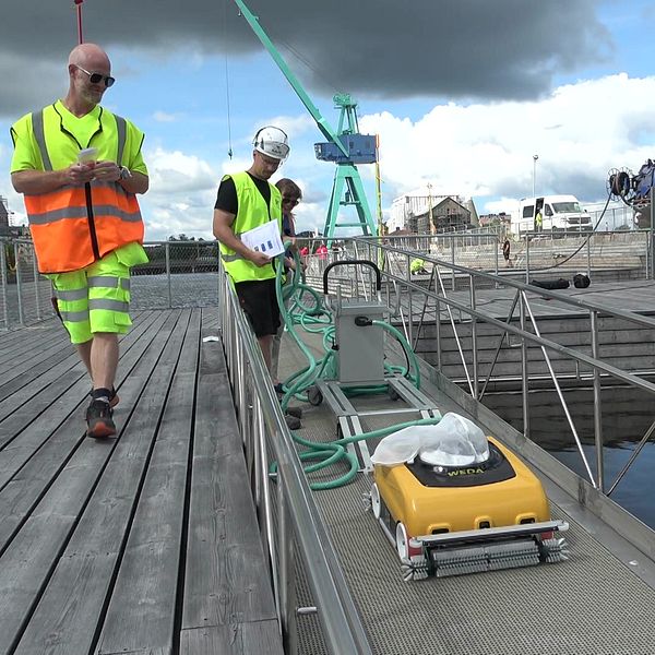 Robot som bekämpar sjögräs och alger