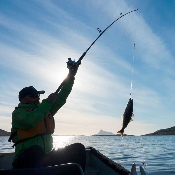 Man som har fångat en fisk med ett kastspö i motljus