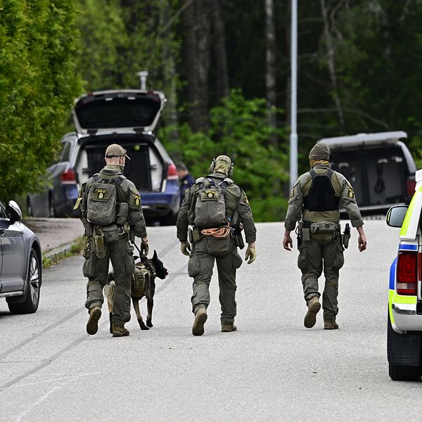 Tre tungt beväpnade poliser och en polishund patrullerar på en väg mellan parkerade bilar.