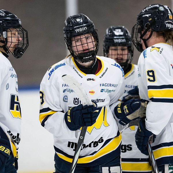 Flera spelare i HV71 i SDHL på isen.