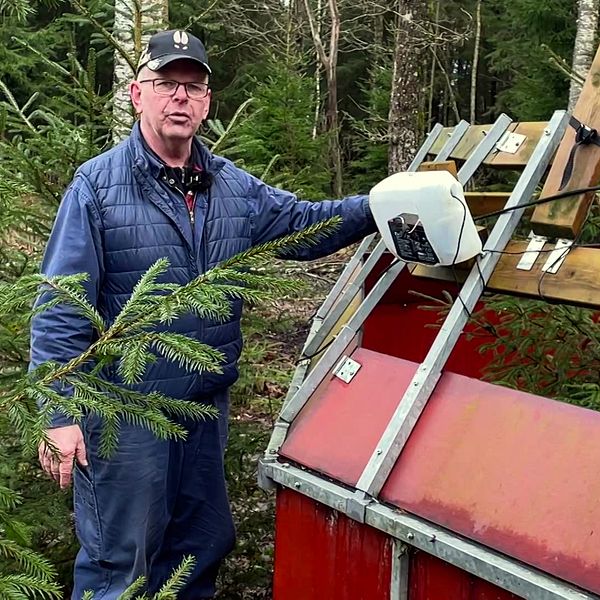 Bonden Gunnar Lidell vid vildsvinsfällan i Vänersborg