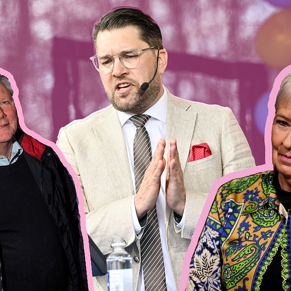 Jimmie Åkesson öppnar för ministerstyre | SVT Nyheter