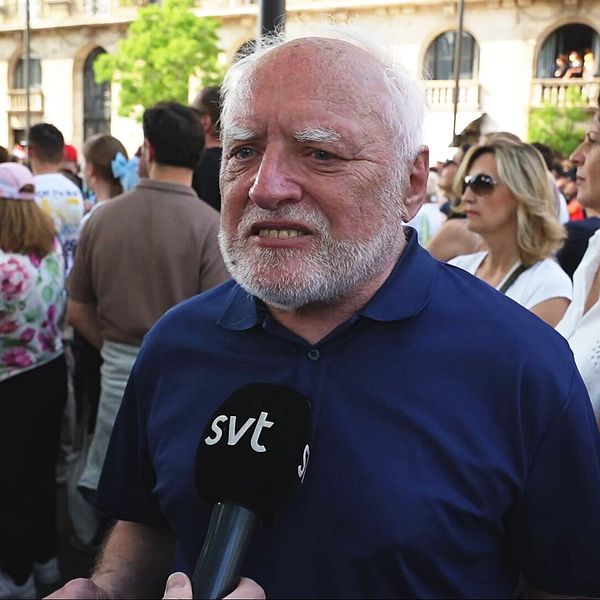 András Arató, Hide The Pain Harold, intervjuas i en folksamling