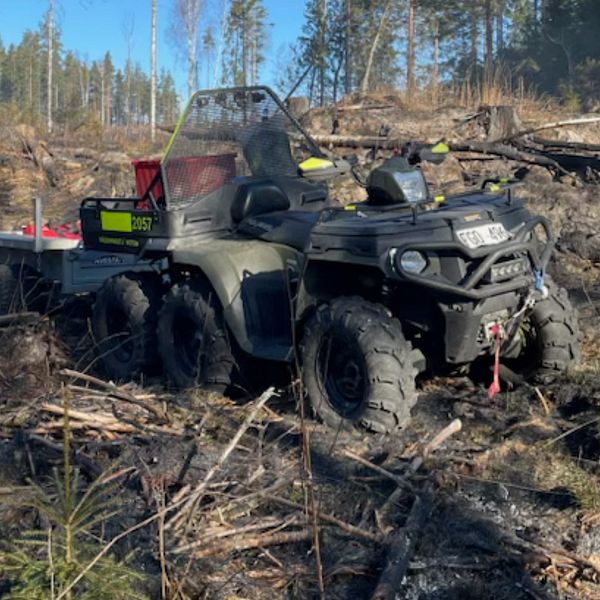 Terränggående fyrhjuling i skogsmiljö under klart väder.