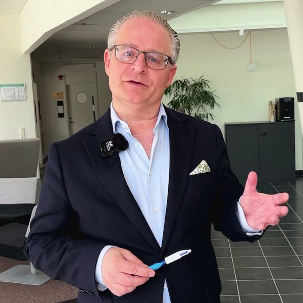Statsvetaren David Feltenius i intervju om tre kommuner inför valet