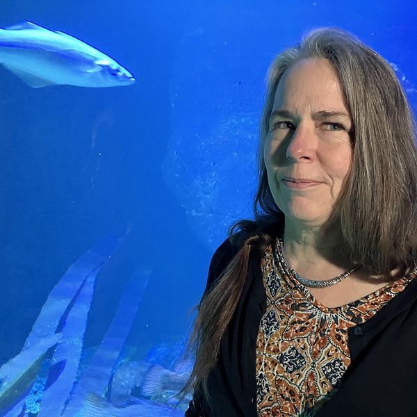 Professor Karin Hårding framför akvarie med en sej simmande