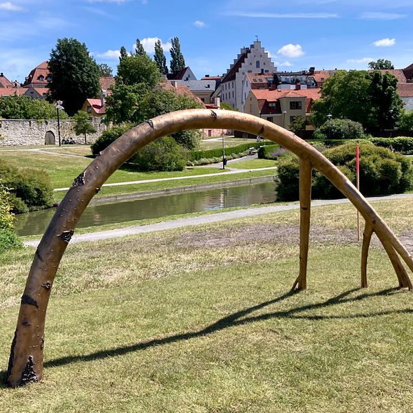 Konstverket lyssnandet i form av ett böjt träd, syns i amlmedalen.