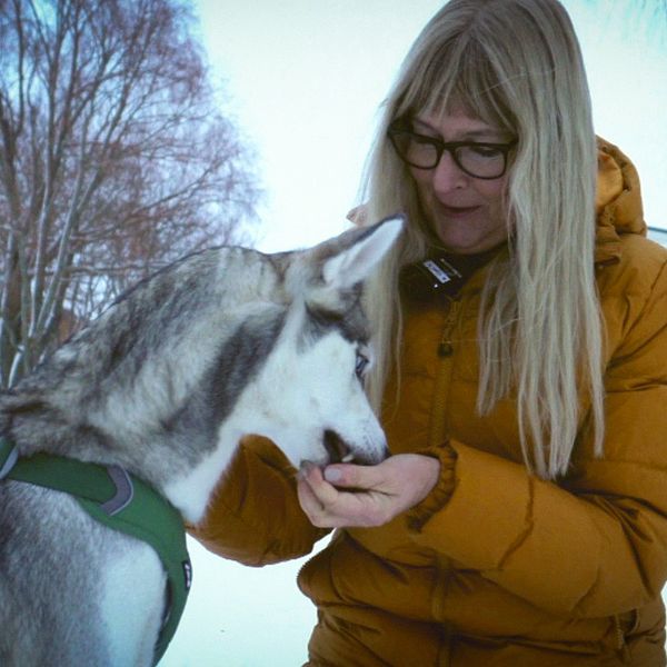 Hundpsykologen berättar hur hundar kan tränas för att inte bli rädda av smällarna på nyår.