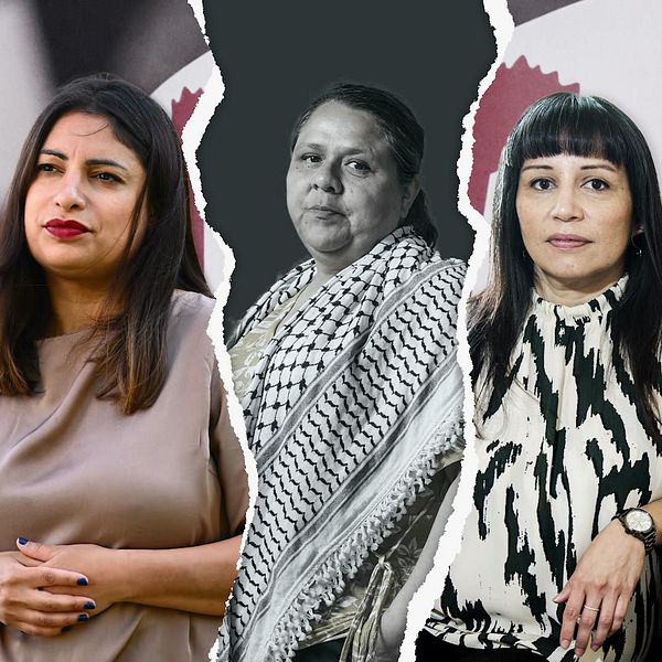 Frågan om Lorena Delgado Varas delar Vänsterpartiet