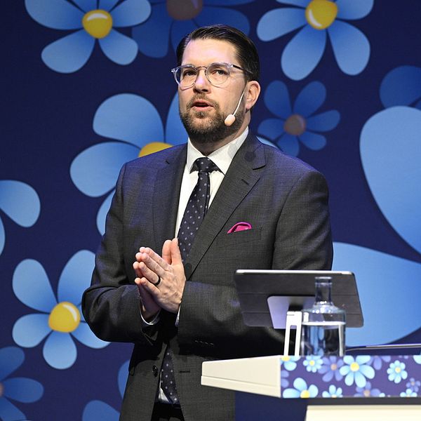 Jimmie Åkesson håller tal.