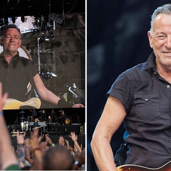 bruce springsteen