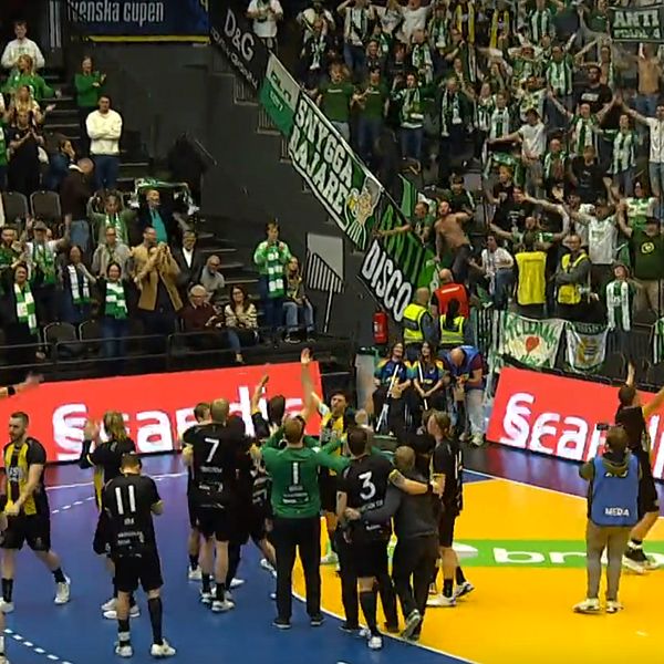 Hammarby handboll