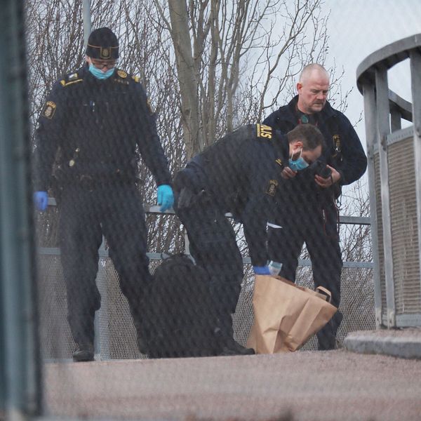Poliser i skyddshandskar bär en kropp insvept i en brun väska över en gångbro.