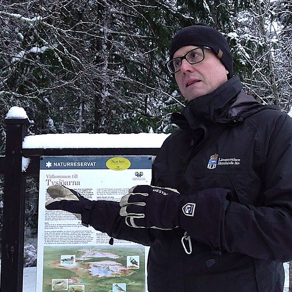 Mattias Västfelt som är chef Naturförvaltningsfunktionen står framför en informationsskylt i en snötäckt skog. Skyltens text och bilder handlar om området och dess natur, medan personen gestikulerar. Träden runt omkring är täckta av snö, vilket skapar en kylig och lugn atmosfär.