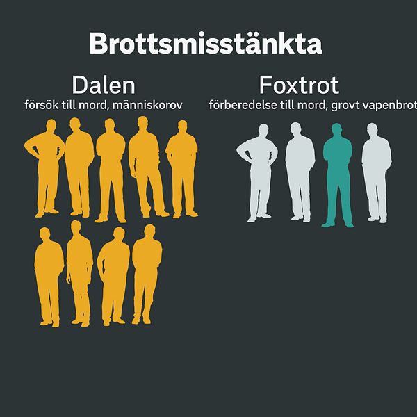 Grafisk bild över de inblandade i det senaste gängmålet i Sundsvall