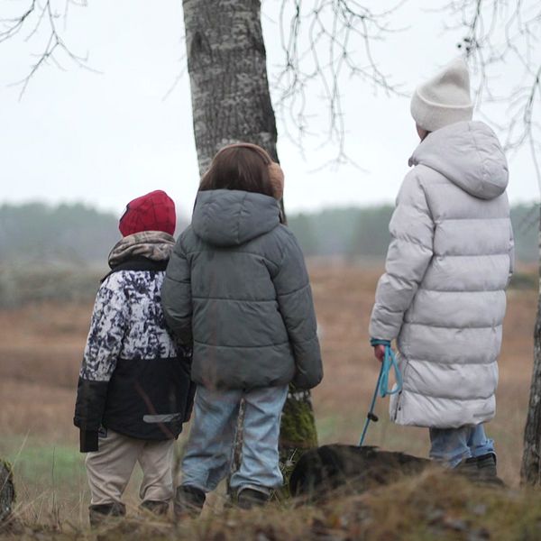 Tre barn i vinterkläder står vid träd och tittar ut över ett öppet landskap.