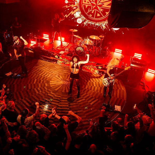 En bild från en spelning med det svenska punkbandet The Baboon Show.
