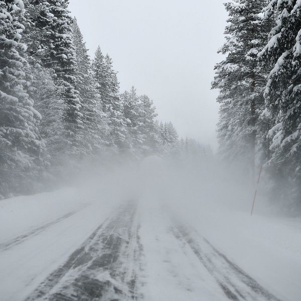 Genrebild, snöig bild på skogsväg i Dalarna.