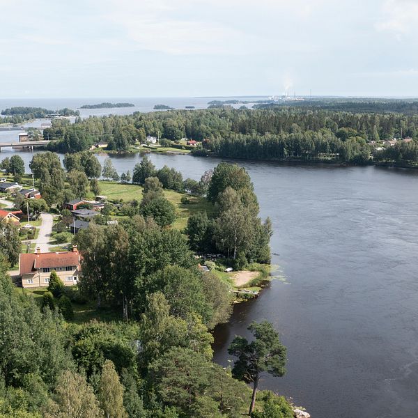 Älven Ljusnan fotograferad nära utloppet i Söderhamns kommun i Gävleborgs län.